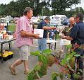 6de Halfoogsttreffen organisatie de Gebroeders Stulens (139)